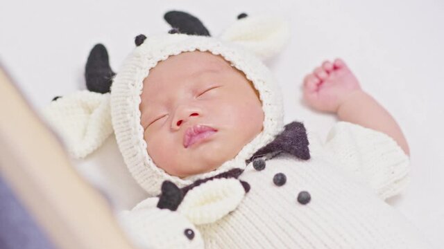happy newborn baby wearing cute cow costume lying sleep on white background comfortable and safety.Cute Asian infant sleeping and napping on baby bed