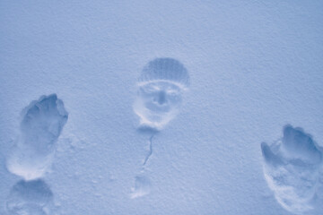 Abdrücke im Schnee, Gesichtsabdrücke im Schnee