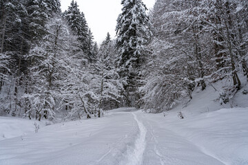 Tief verschneiter Weg zwischen Geroldsee und Barmsee