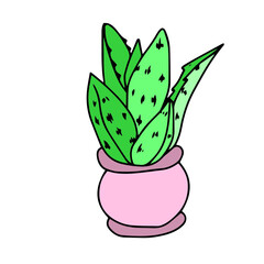 Vector children's design for fans and fabrics, postcards.Cactus in a pot