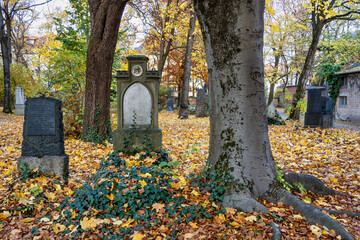 View of famous Old North Cemetery of Munich, Germany with historic gravestones.