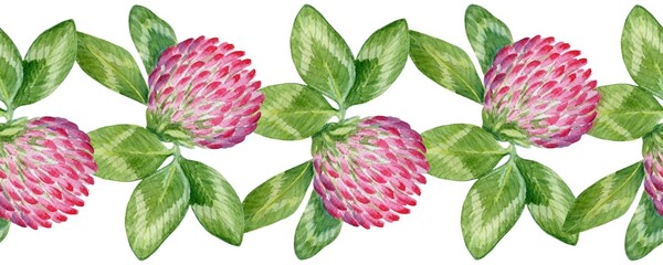 A set of flowers and clover leaves. Seamless border, pattern on the edges. Watercolor botanical illustration