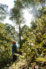 mujer joven caminando en medio del bosque