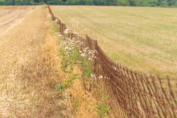 zaun auf wiese