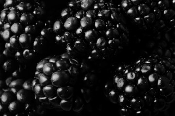 Closeup of organic blackberries for healthy fruit food background.