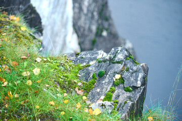 A piece of marble rock, covered with moss and fallen yellow leaves, by a pond