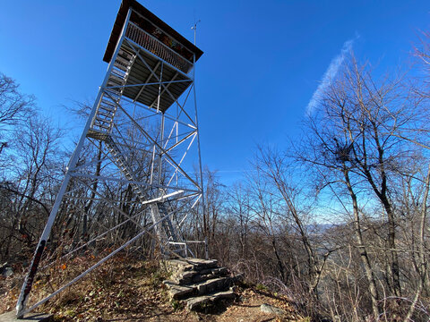 Firewatch Tower in the Woods