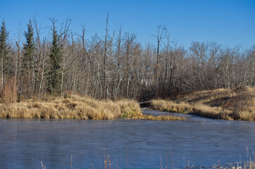 Pylypow Wetlands on a Late Autumn Day