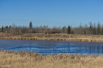 Pylypow Wetlands on a Late Autumn Day