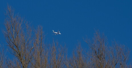 two birds flying over a river against a blue sky