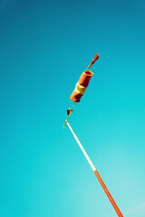 Colorful Weather Vane