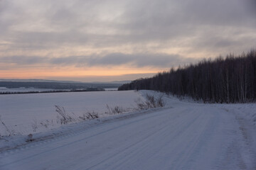 Naklejka premium Morning sky and road through the forest.