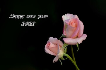 Happy New Year 2022