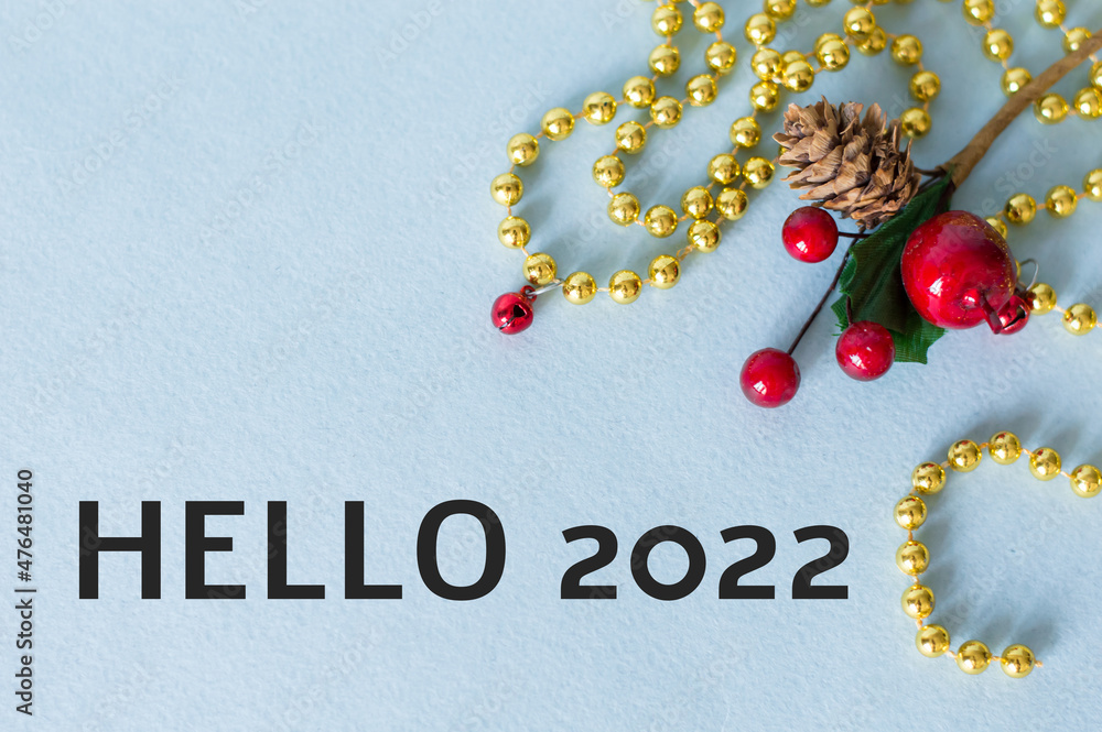 Poster hello 2022 text on a blank background isolated next to a branch with berries and cone