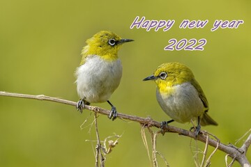 Merry Christmas and happy new year 2022