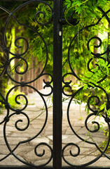 Fototapeta na wymiar A wrought-iron fence and a climbing green plant from the Royal Garden. Montenegro.