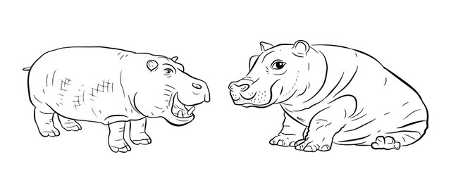 In the animal world. Image of african hippopotamus. Black and white drawing, coloring, vector.