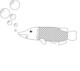 Coloring book pike, vector illustration.