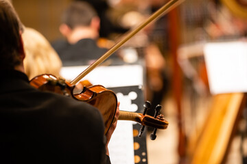 Hand on the strings of a violin