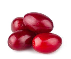 Dogwood fruits isolated on a white background macro