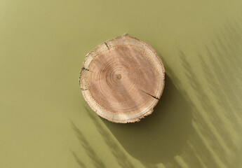 Woodcut lying on a trendy green background with shadows of fern. A wooden platform with shades for...