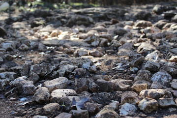 Rocks on a Hiking Trail in Texas