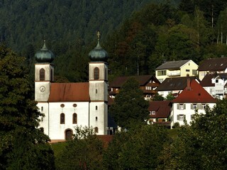 Blick auf St.-Cyriak-Kirche und Häuser in Bad Rippoldsau-Schapbach im Nordschwarzwald