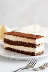 Tiramisu dessert on a white background. Italian sweet dessert concept. Plate of tiramisu cake. close up. selective focus. Vertical view. Story format