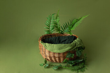 the basket for the photo shoot is decorated with fern branches. basket for newborn photo sessions. background decor of the photo zone
