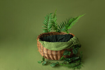 the basket for the photo shoot is decorated with fern branches. basket for newborn photo sessions....
