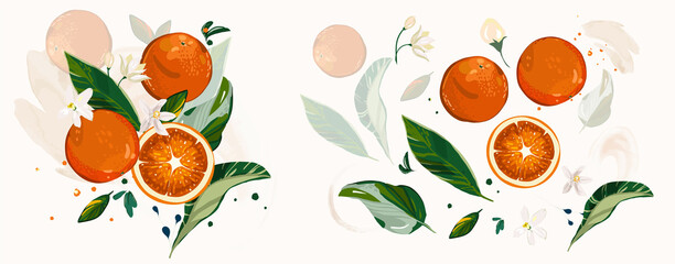  Big vector Set of orange branch. green leaves, fruit, flowers