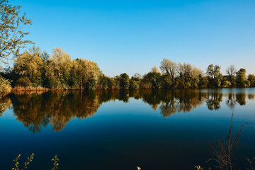 Obraz premium Autumn trees reflected in water