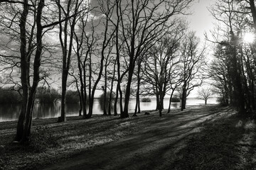 Nature au bord du lac de Grand lieu France