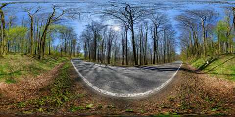 road in the odenwald forest vr 360° x 180° enviroment