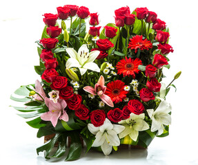 Flowers background of various species