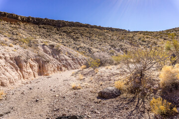 desert landscape in state
