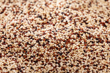 Chenopodium Quinoa - Photo Of Real Quinoa Seed Mix: White, Red And Black Quinoa