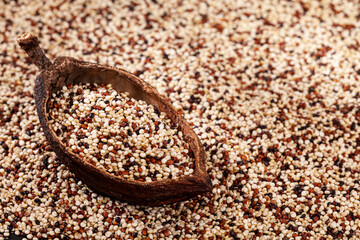 Chenopodium Quinoa - Photo Of Real Quinoa Seed Mix: White, Red And Black Quinoa