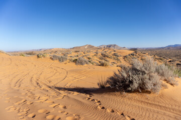 dunes in the desert