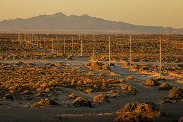 Electric power poles and cables, high voltage, row towards the horizon among the landscape of the...