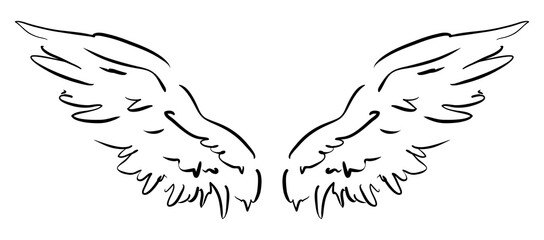 White angel wings, hand drawn monochrome vector illustration