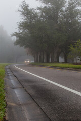 Two cars with headlights on approaching on a one lane road surrounded trees and green grass in a foggy morning. 