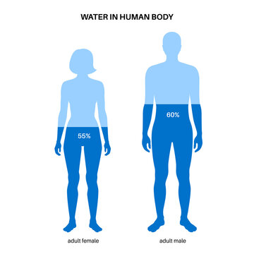 Water body balance