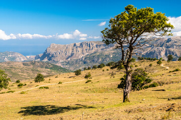 View of Rocche del Crasto near Alcara Li Fusi town in the Nebrodi Park, Sicily