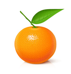Mandarin. Tangerine. Sweet, ripe, fresh fruit. Isolated on white background. Eps10 vector illustration.