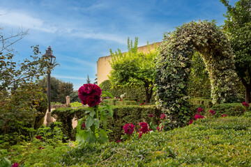 Fototapeta na wymiar Garden with fruit trees, flowers and a beautiful arch entwined with ivy. Gardens in the Alcazar de los Reyes Cristianos in Cordoba, Spain.