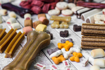 Dog tasty colored biscuits on wooden background