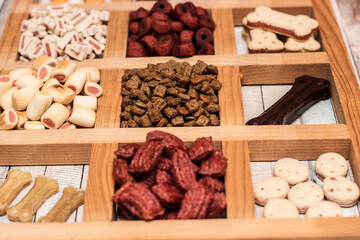 Pet food, snacks for dogs. Dog tasty colored biscuits on wooden background