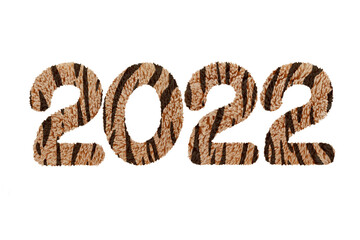 2022 new year digits covered with tiger skin pattern