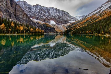 Reflection in the Taylor lake, Banff National Park, Canada.